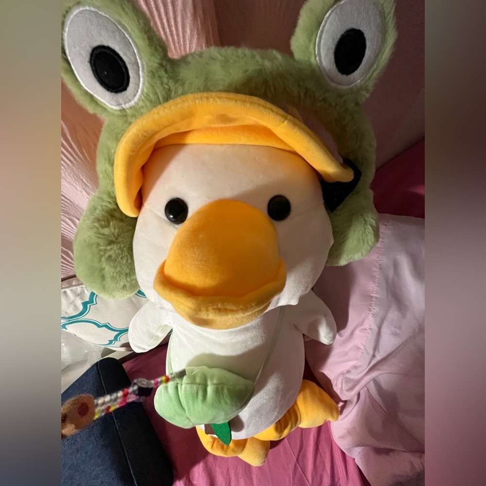 Cute duck